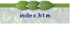 index.htm
