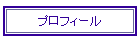 �v���t�B�[��